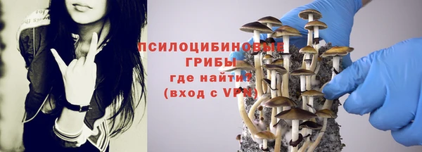 ПСИЛОЦИБИНОВЫЕ ГРИБЫ Ростов