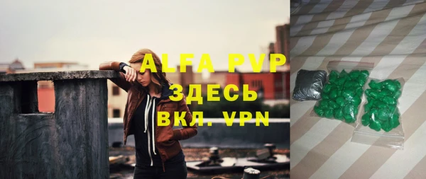 PSILOCYBIN Рославль