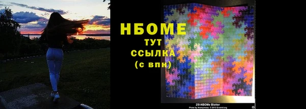 PSILOCYBIN Рославль