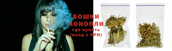 PSILOCYBIN Рославль