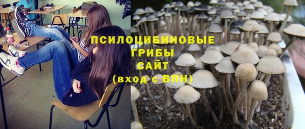 PSILOCYBIN Рославль