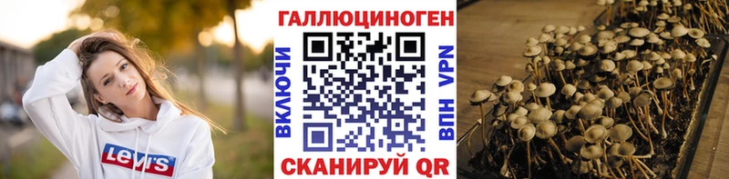 Галлюциногенные грибы Magic Shrooms  Кашира 
