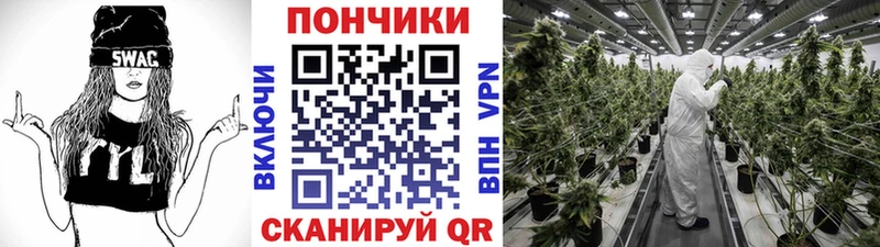 Канабис VHQ  Кашира 