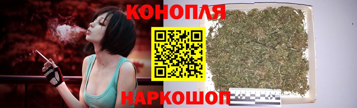 Каннабис семена Кашира
